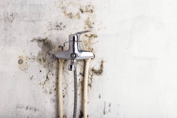 Garfield Heights, OH Mold Remediation Company