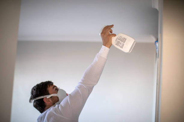 Best Preventive Mold Services in Garfield Heights, OH
