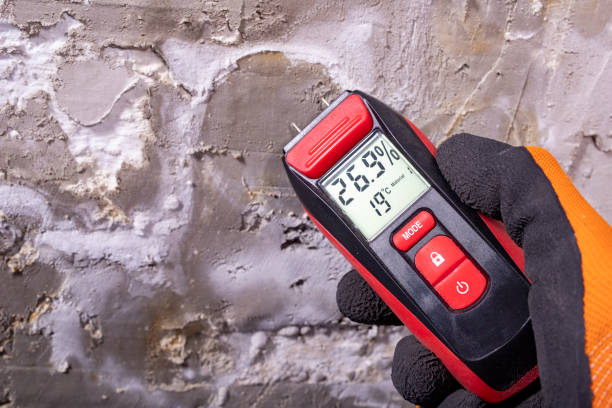 Best DIY Mold Remediation Support Services in Garfield Heights, OH