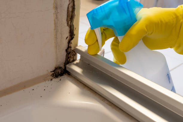Best Kitchen Mold Remediation in Garfield Heights, OH