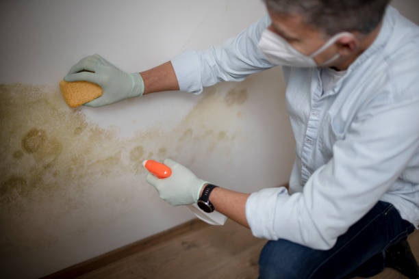 Best Industrial Mold Remediation in Garfield Heights, OH