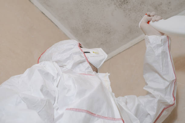 Garfield Heights, OH Mold Remediation Company